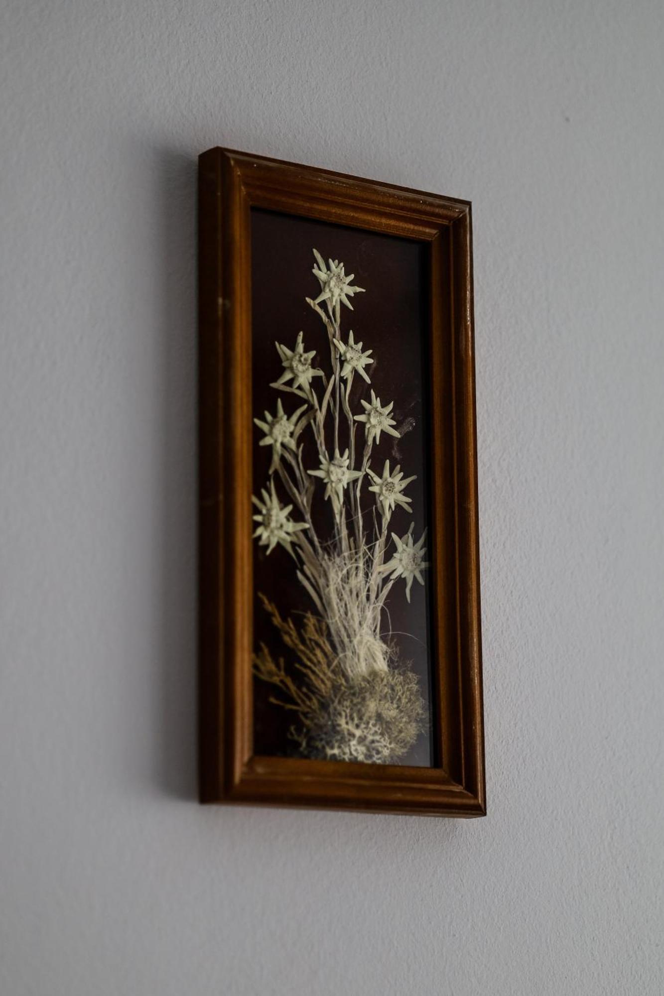 Vila Edelweiss Predeal Bagian luar foto