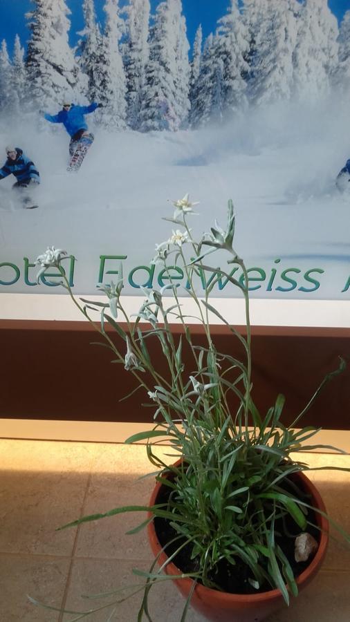 Vila Edelweiss Predeal Bagian luar foto